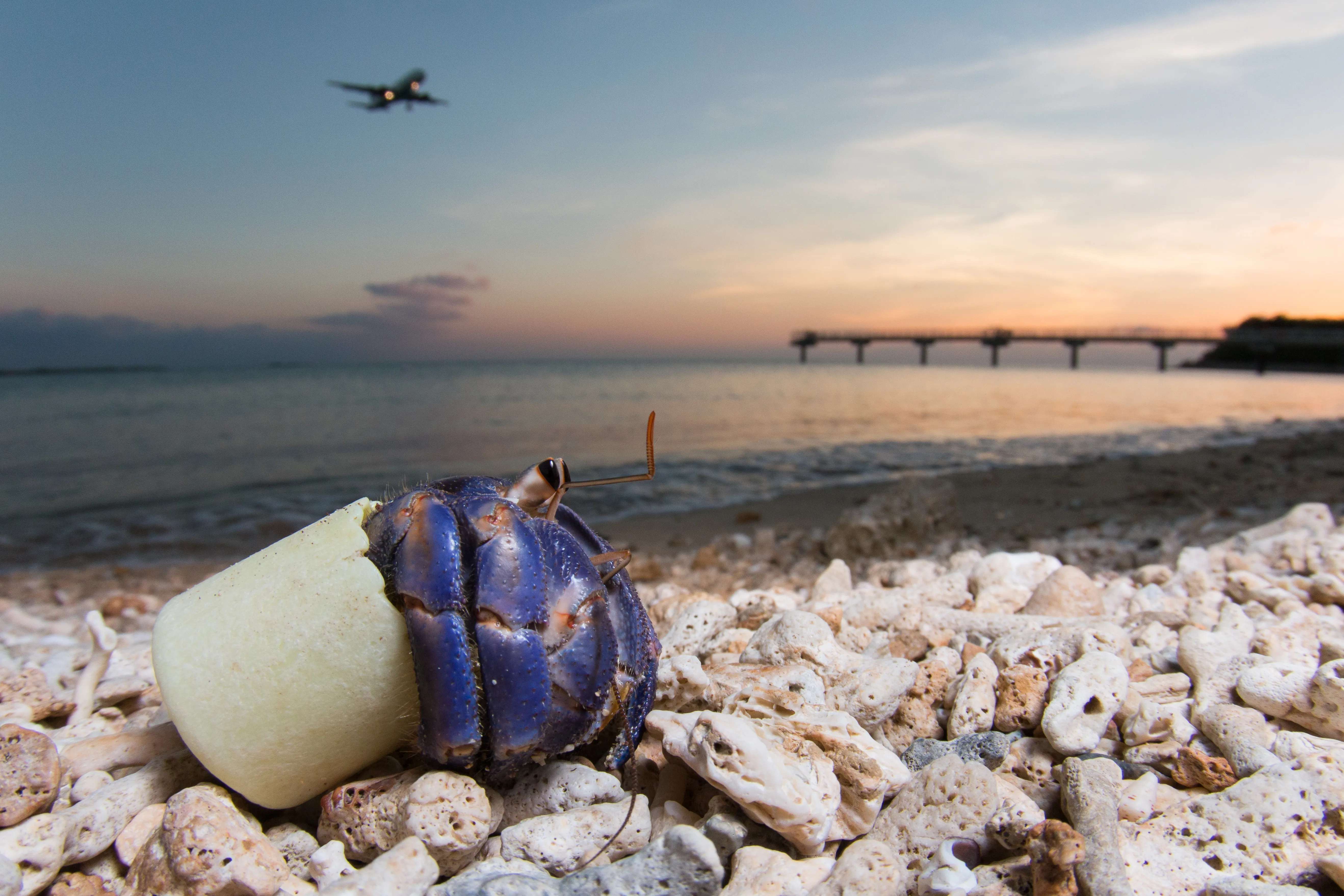 🏖️ 무루쿠하마 비치 이미지 8